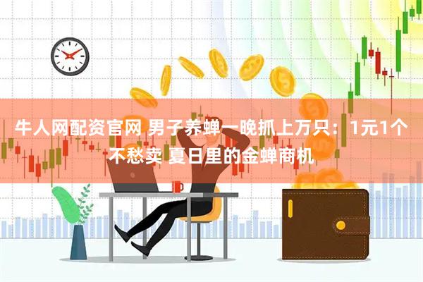 牛人网配资官网 男子养蝉一晚抓上万只：1元1个不愁卖 夏日里的金蝉商机